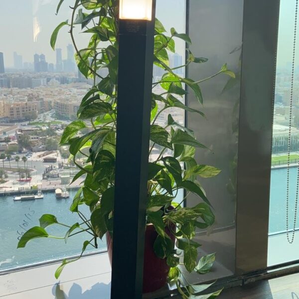 GARDEN LIGHT